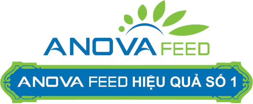 Anova Feed